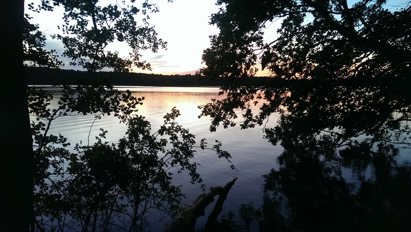 IMAG2334_1